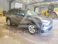 2019 Toyota RAV4 фото