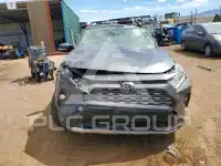 2019 Toyota RAV4 photo
