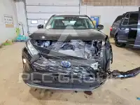 2019 Toyota RAV4 фото
