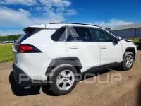 2019 Toyota RAV4 фото