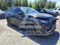 2019 Toyota RAV4 photo