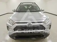 2019 Toyota RAV4 фото
