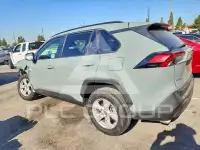 2019 Toyota RAV4 photo