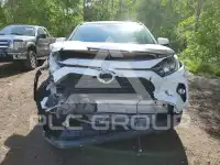 2019 Toyota RAV4 фото