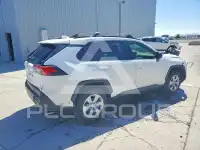 2019 Toyota RAV4 фото
