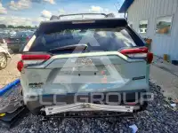 2019 Toyota RAV4 фото