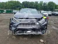 2019 Toyota RAV4 фото