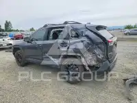 2019 Toyota RAV4 фото