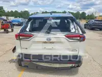 2019 Toyota RAV4 фото