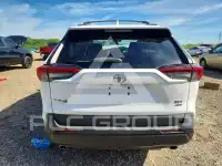 2019 Toyota RAV4 фото