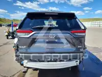 2019 Toyota RAV4 photo