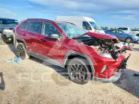 2019 Toyota RAV4 photo