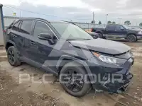 2019 Toyota RAV4 photo