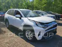 2019 Toyota RAV4 фото