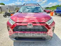 2019 Toyota RAV4 фото