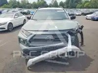 2019 Toyota RAV4 фото