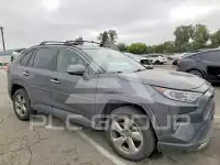 2019 Toyota RAV4 photo