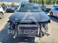 2019 Toyota RAV4 фото