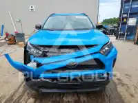 2019 Toyota RAV4 фото