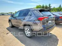 2019 Toyota RAV4 фото