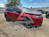 2019 Toyota RAV4 фото