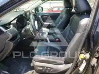 2019 Toyota RAV4 фото