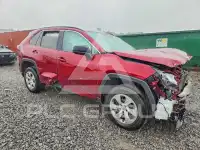 2019 Toyota RAV4 photo