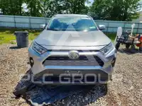 2019 Toyota RAV4 фото