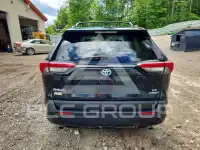 2019 Toyota RAV4 фото