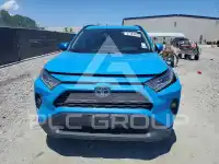 2019 Toyota RAV4 photo