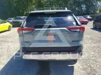 2019 Toyota RAV4 фото