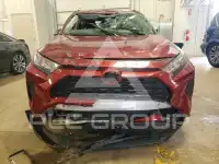2019 Toyota RAV4 фото