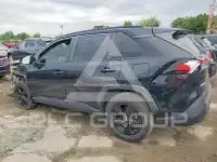 2019 Toyota RAV4 photo