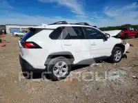 2019 Toyota RAV4 фото