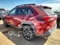 2019 Toyota RAV4 фото