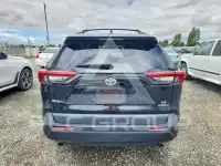 2019 Toyota RAV4 фото