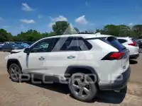 2019 Toyota RAV4 фото