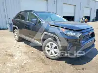 2019 Toyota RAV4 фото
