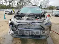 2019 Toyota RAV4 фото