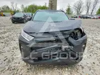 2019 Toyota RAV4 фото