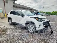 2019 Toyota RAV4 фото