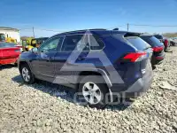 2019 Toyota RAV4 фото