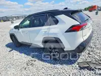 2019 Toyota RAV4 фото