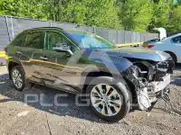 2019 Toyota RAV4 photo