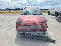 2019 Toyota RAV4 фото