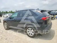 2019 Toyota RAV4 фото