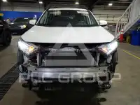 2019 Toyota RAV4 photo