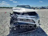 2019 Toyota RAV4 фото