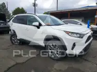 2019 Toyota RAV4 photo