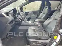 2019 Toyota RAV4 photo